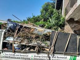 Best Scrap Metal Removal  in Appleton City, MO